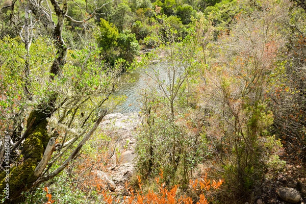 Fototapeta Le Fango (Fangu en corse) est un petit fleuve côtier français de l'île de Corse.