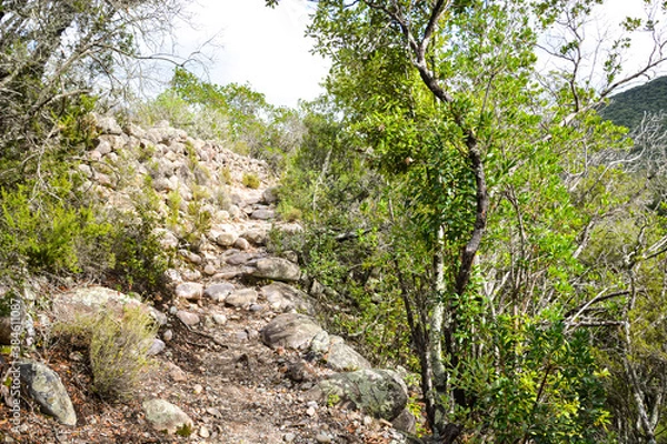 Obraz Le Fango (Fangu en corse) est un petit fleuve côtier français de l'île de Corse.