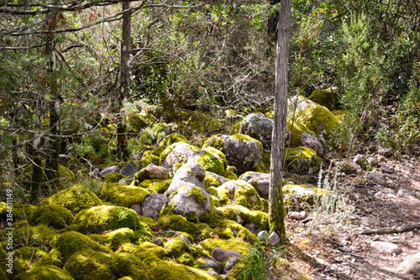 Obraz Le Fango (Fangu en corse) est un petit fleuve côtier français de l'île de Corse.