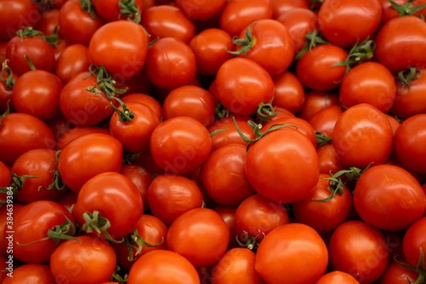 Obraz red tomatoes background. Group of tomatoes basket box