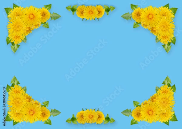 Obraz decorative group of dandelions on an blue background