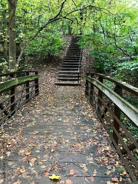 Fototapeta path railway in the forest woods nature green trees lush natural hidden magical fall autumn scene bridge stairs stairway fall autumn USA Washington DC United States