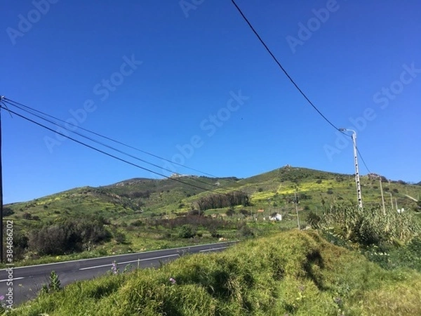 Obraz road near mountain
