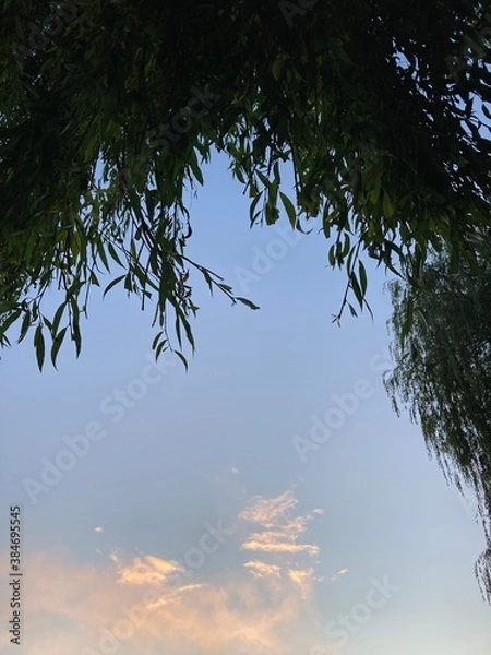 Fototapeta sun and clouds