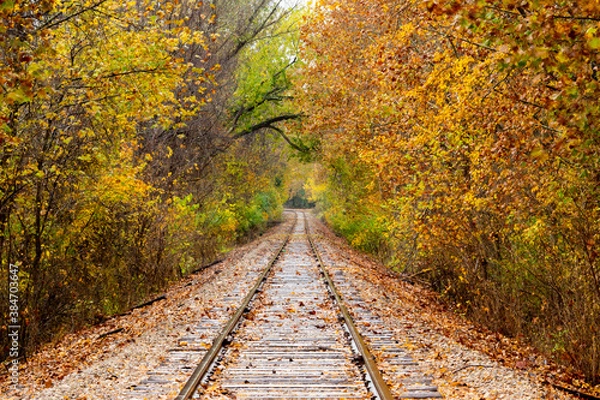 Obraz country roads.