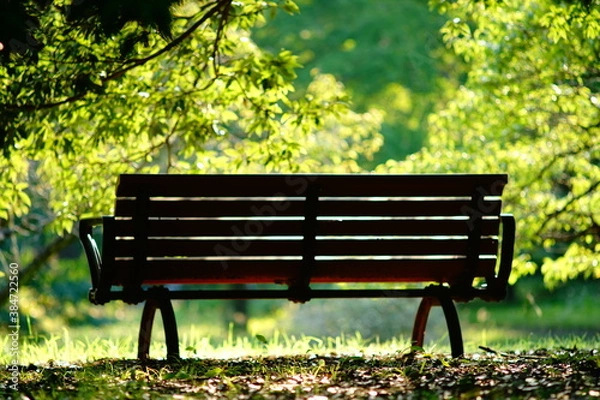 Obraz 緑の中のベンチ
