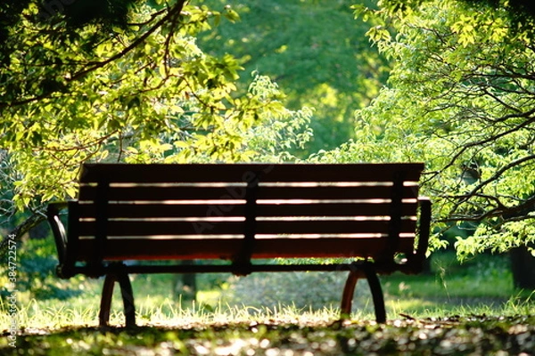 Obraz 晴れた日の休息