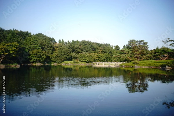 Obraz 日本の庭園