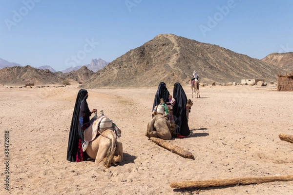 Obraz Hurghada, Egypt - October 1, 2020: Muslim women dressed in hijabs stand next to camels and wait for tourists in Egypt