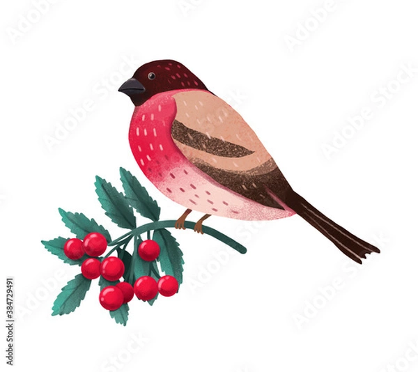 Fototapeta Winter Birds and Berries. Colorful vector illustration.