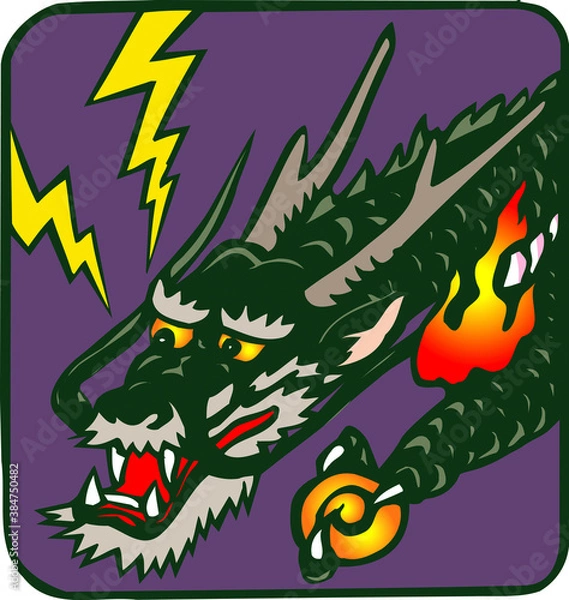 Fototapeta 竜横向き顔面