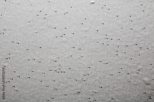 Fototapeta texture background for design and decoration
