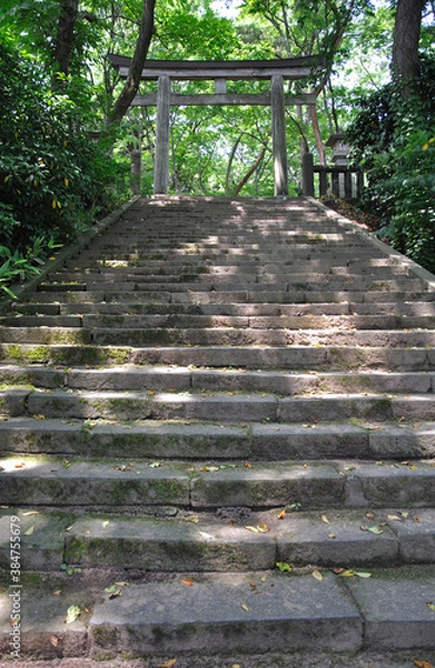 Fototapeta 初夏の酒田・光丘神社