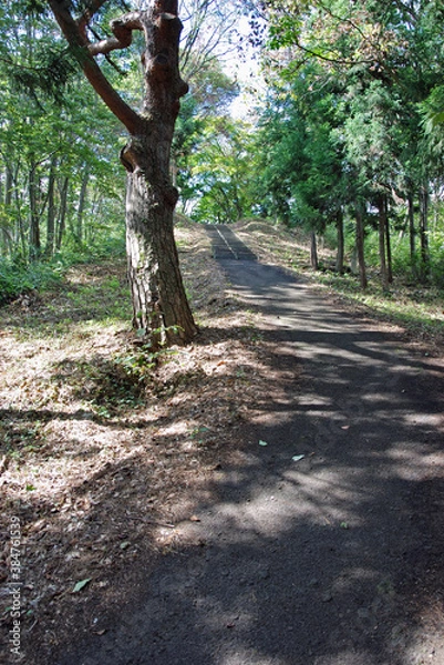 Fototapeta 岩手県　平泉・金鶏山登山道