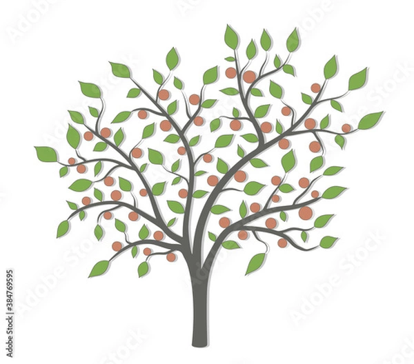 Fototapeta Tree with green leaves and red fruit with a light shadow on a white background