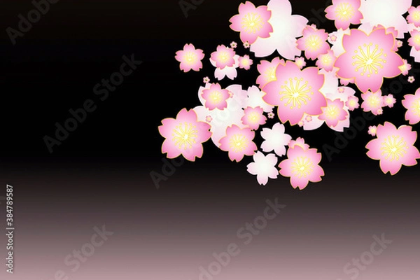 Fototapeta サクラの花