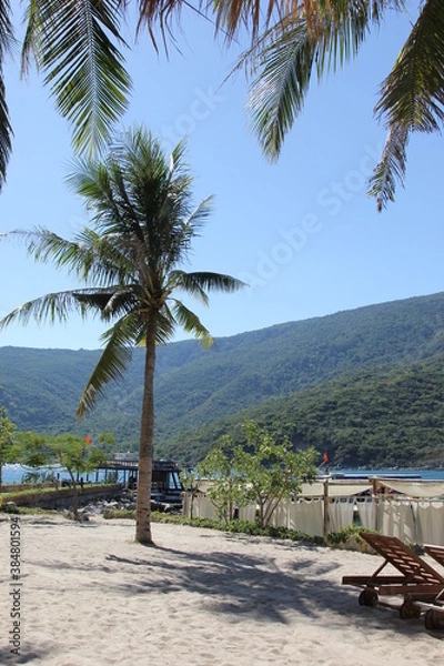 Obraz beach with palm trees viemtna