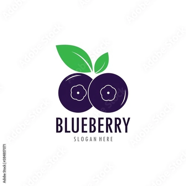 Fototapeta Blueberry logo vector template