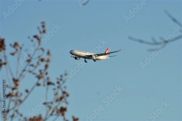 Obraz photo olicreeppic