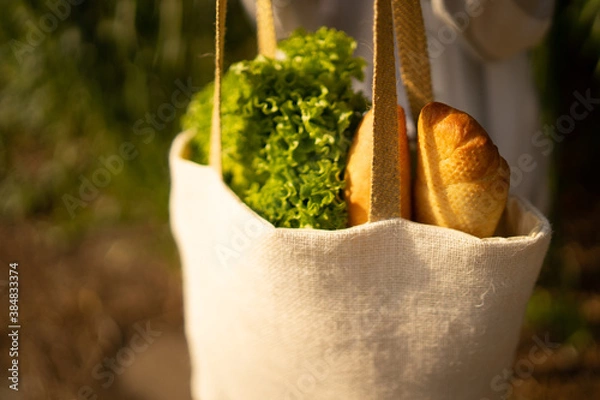Obraz Close up a shopping bag 