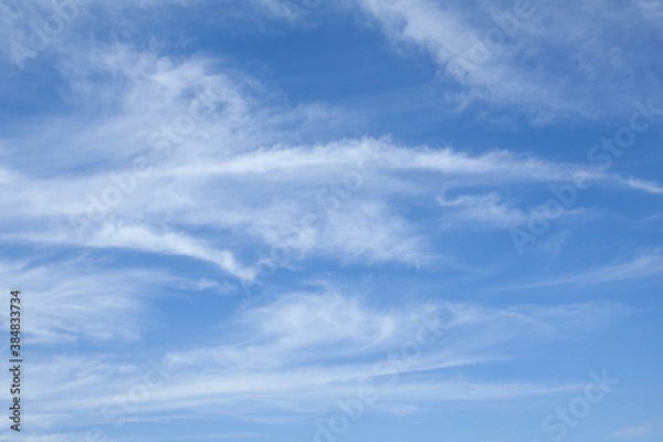 Fototapeta 秋空の白い雲