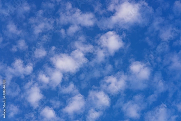 Obraz Beautiful small white clouds floating across the blue sky