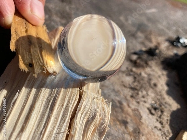 Obraz hand holding tin can