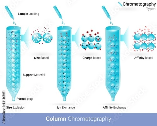 Obraz Types of column chromatography Affinity chromatography ion exchange and size exclusion chromatography used in the isolation of biological molecules vector illustration 