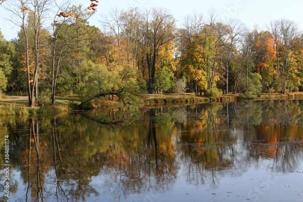 Obraz autumn in the park
