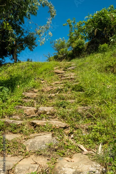Fototapeta A trekking trail in the mountains, lined with natural stones of various sizes, going among the green bushes