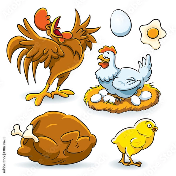 Obraz Chicken Collection