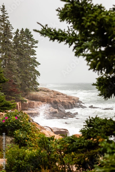 Obraz Gale force winds whip up crashing waves along the rocky coast of Schoodic Point Maine near Acadia National Park