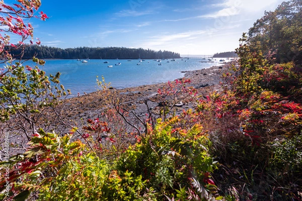 Obraz Autumn colors light up the shoreline of the ocean in a cove near Sorrento, Maine and Acadia National Park
