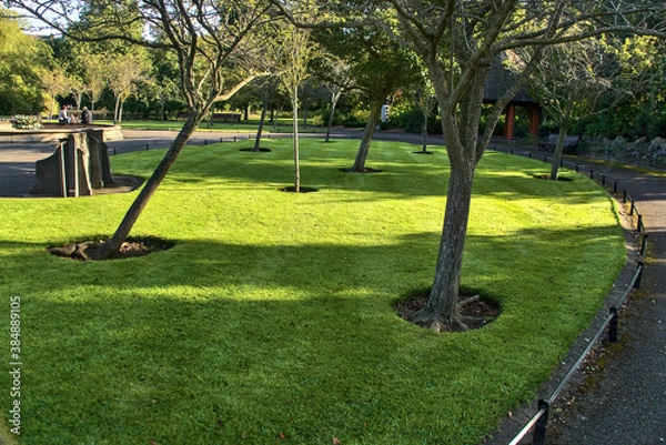 Fototapeta Beautiful mulch tree circles on the lawn in St. Stephen's Green Park in the autumnal morning, Dublin, Ireland