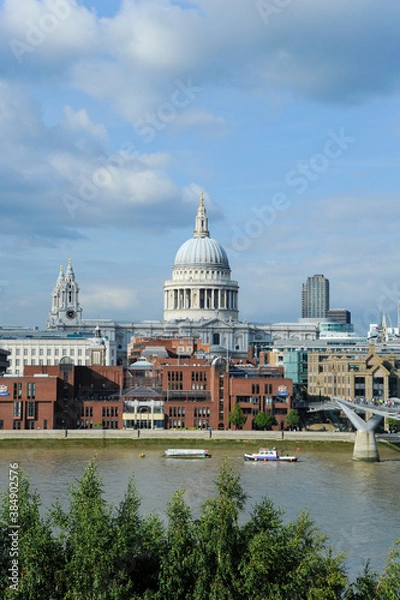 Obraz テムズ河とセントポール大聖堂