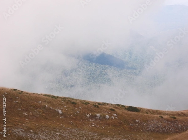 Obraz Photos from the hike to Pshekha-Su