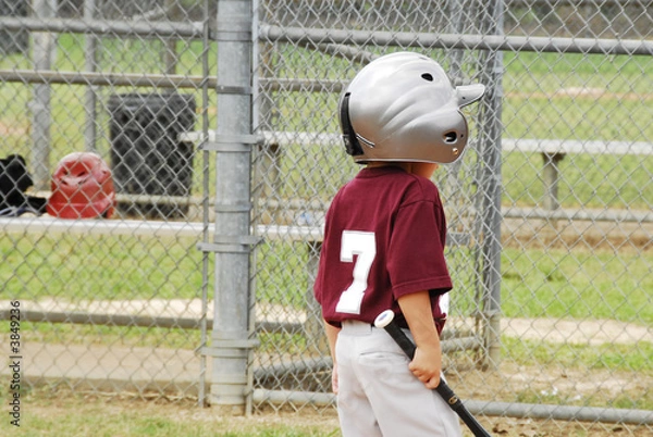 Fototapeta Batter Up!