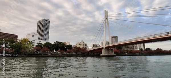Obraz Japanese River Bridge