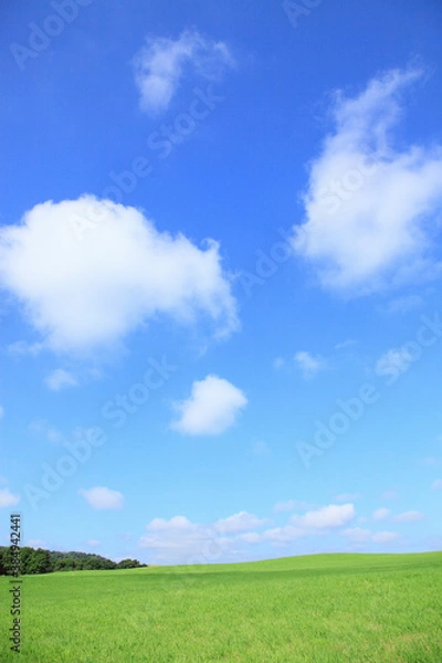 Fototapeta 草原の空と雲