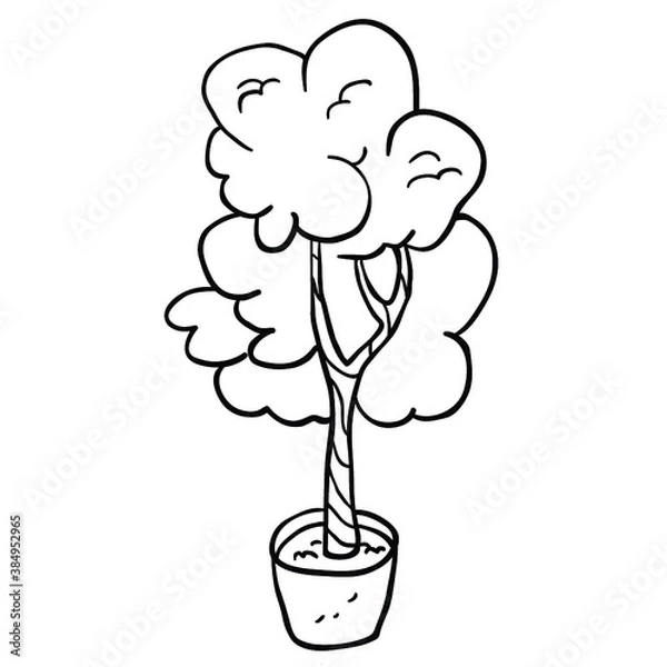 Fototapeta tree in a pot