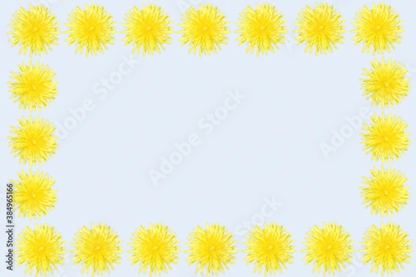 Fototapeta タンポポ