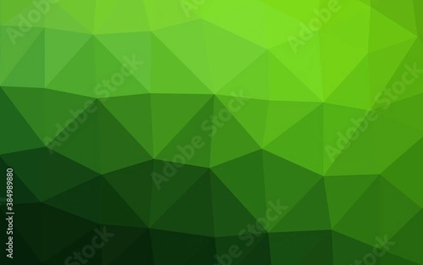 Fototapeta Light Green vector polygon abstract layout.