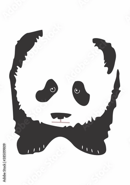 Fototapeta panda bear