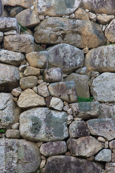 Fototapeta 萩城跡