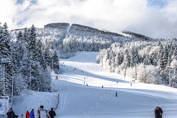Fototapeta Ski slope