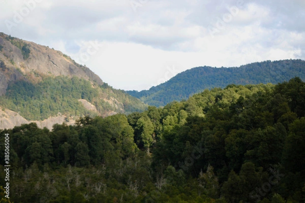 Fototapeta landscape with trees
