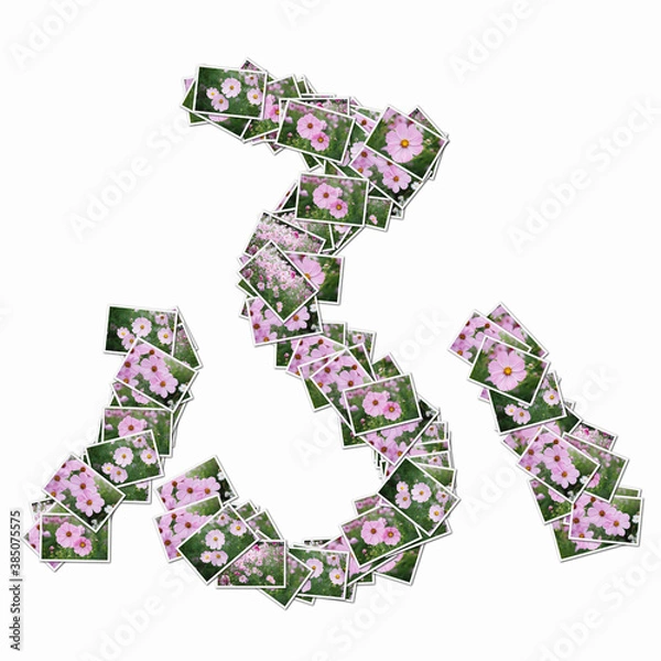 Fototapeta 花の写真でひらがな