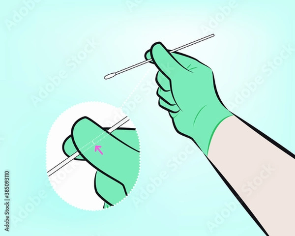 Fototapeta Step 3 : Hold the swab in your hand, placing your thumb and forefinger in the middle of the swab shaft across the scoreline.