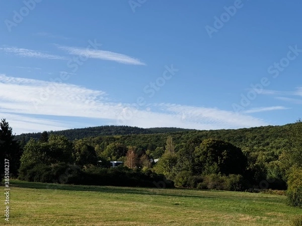 Obraz landscape with trees