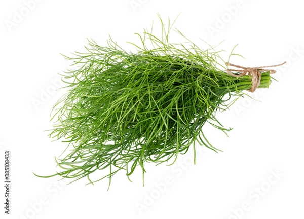 Obraz Dill isolated on white background.